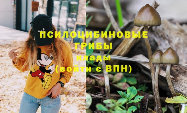 MDMA Premium VHQ Каменногорск