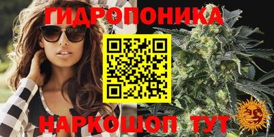 прущие крисы Конаково