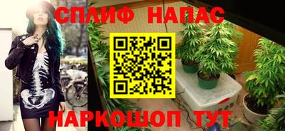 ПСИЛОЦИБИНОВЫЕ ГРИБЫ Свободный
