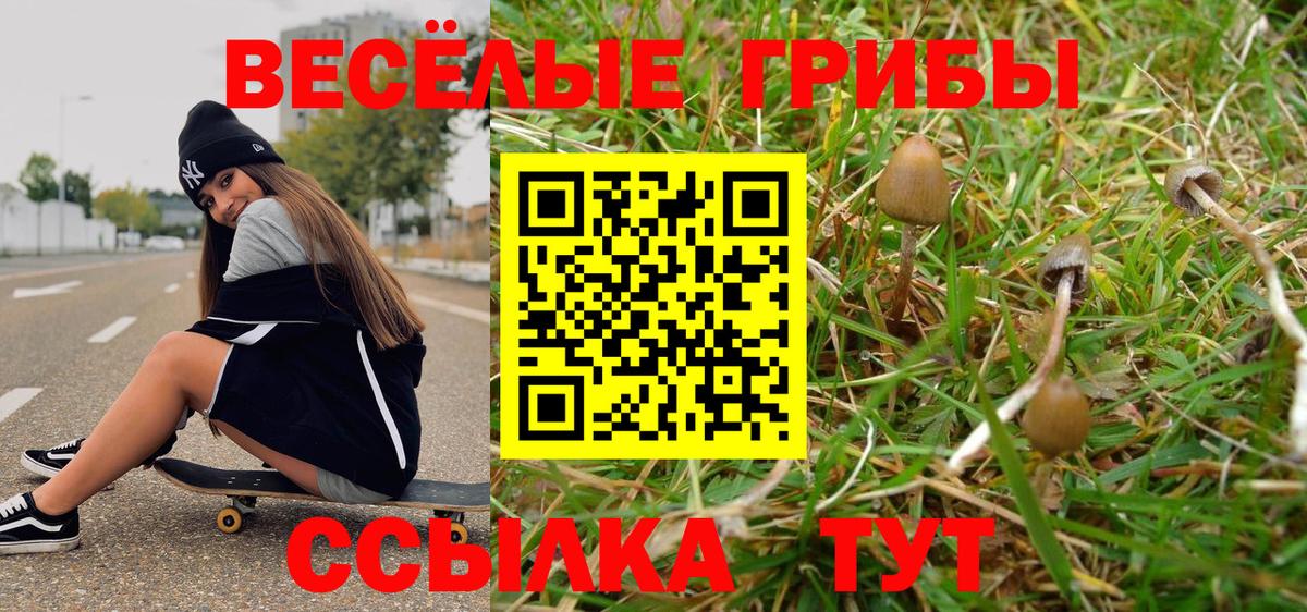 Псилоцибиновые грибы ЛСД  Вход с VPN  Керчь  Галлюциногенные грибы MAGIC MUSHROOMS 