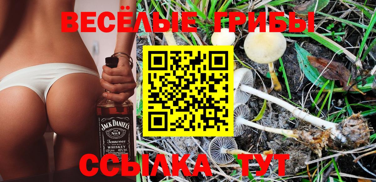 Псилоцибиновые грибы ЛСД Керчь